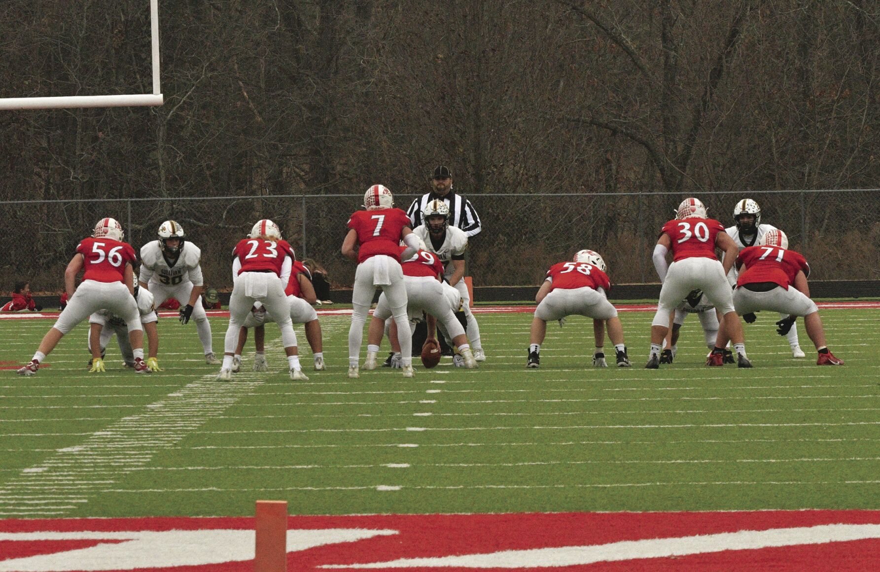 Reeds Spring 5.jpg